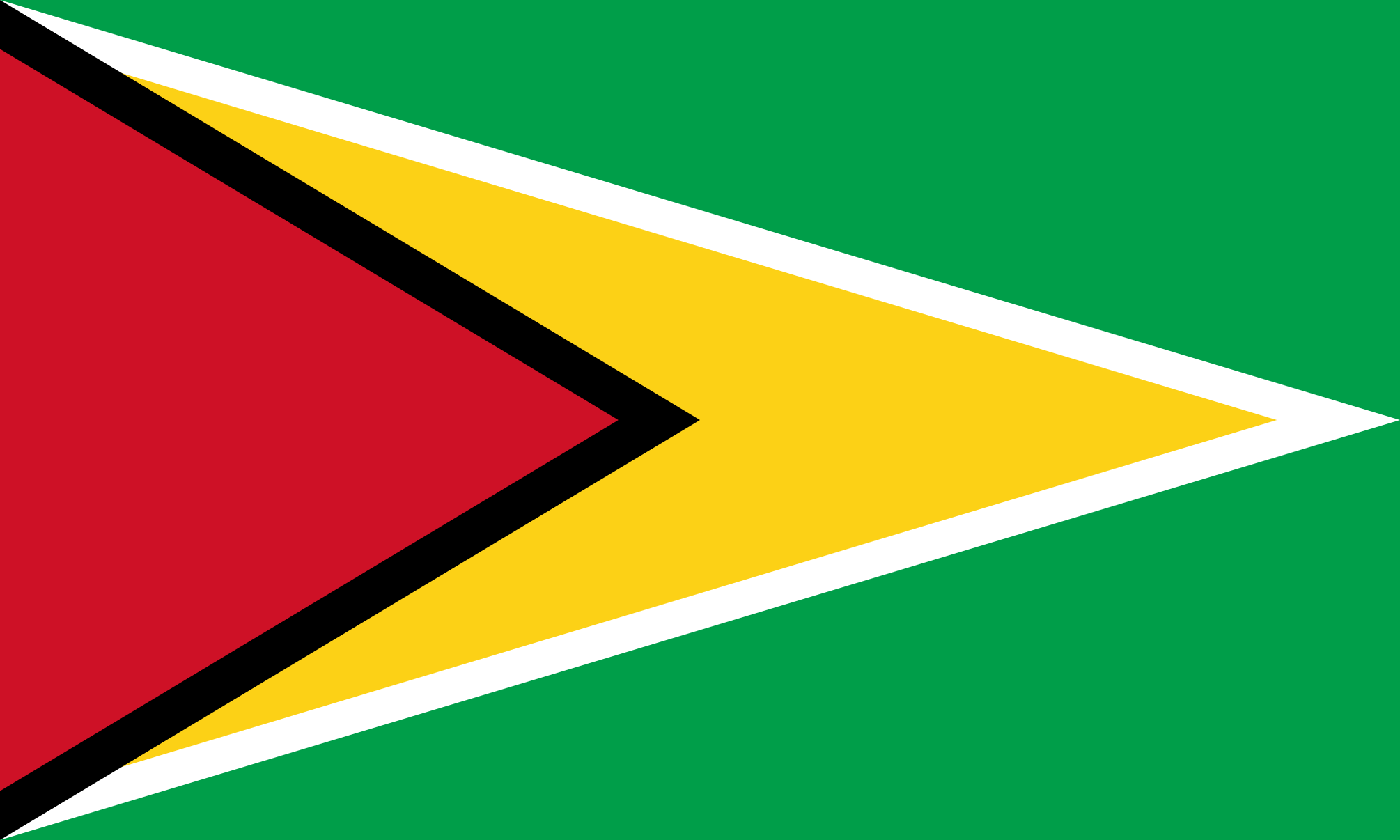 Imagem, bandeira do estado do estado da Guiana - na resolucao de 2010x1206 - América do Sul