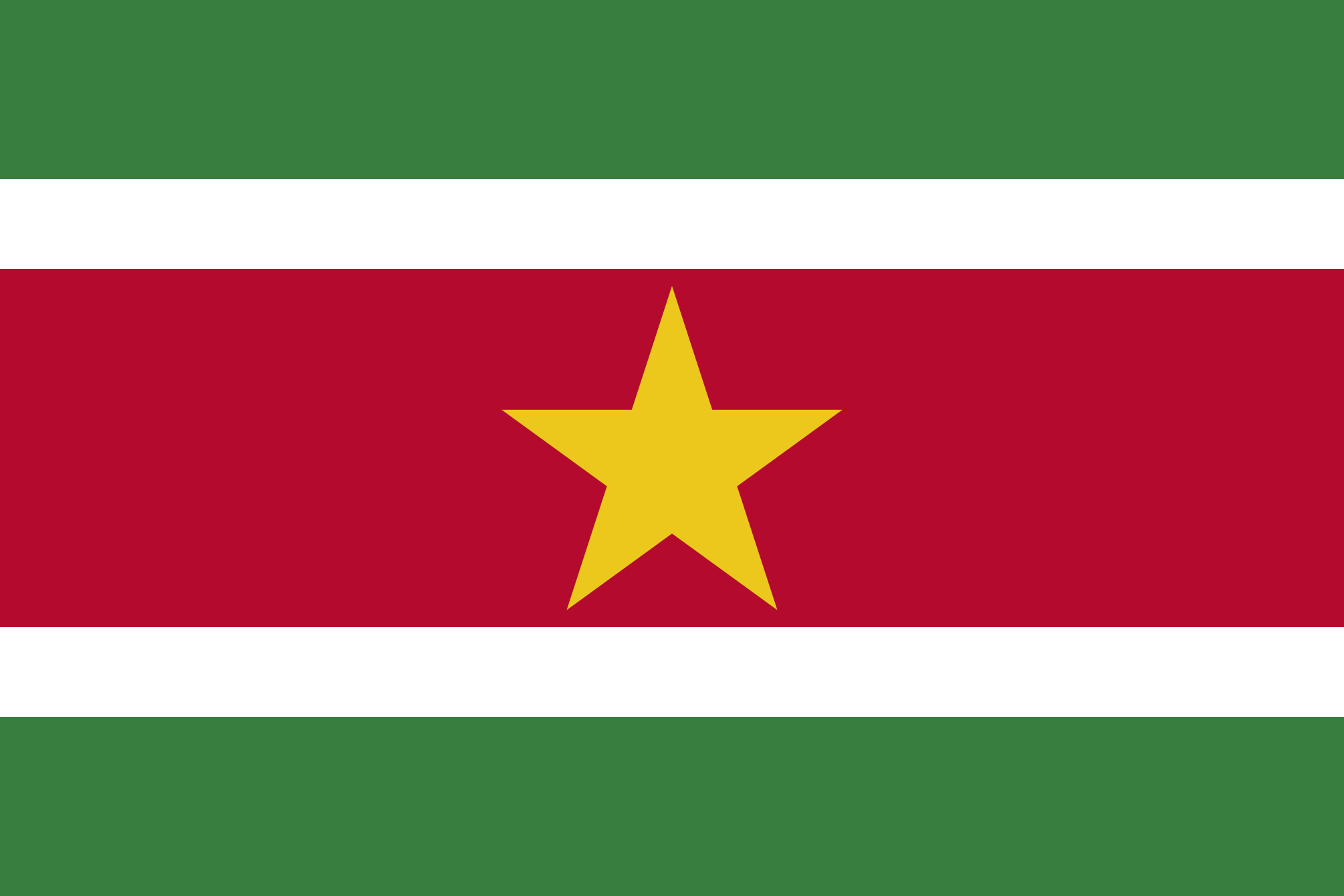 Imagem, bandeira do estado do estado da Suriname - na resolucao de 2010x1340 - América do Sul