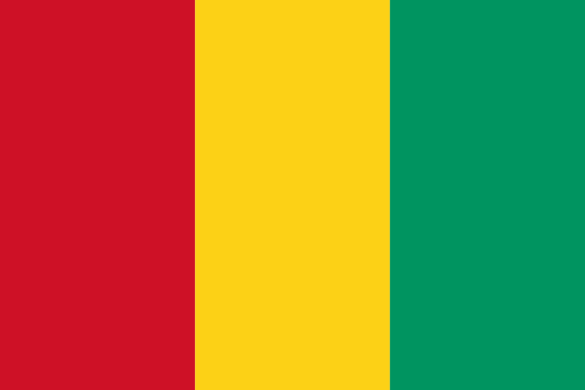 Imagem, bandeira do estado do estado da Guiné - na resolucao de 829x553 - África