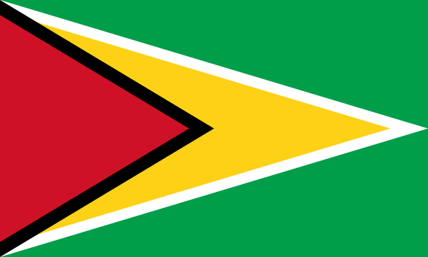 Bandeira da Guiana | Vlajky.org