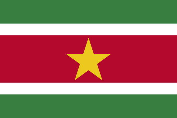 Bandeira do Suriname | Vlajky.org